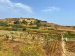 Penthouse Gozo Ir-Rabat P000229769
